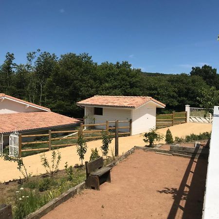 Longes Domaine Du Mont Monnet - Chambre D'Hotes & Gite מראה חיצוני תמונה